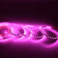 Светодиодная лента Standart Pro class, 2835, 120 led/m, 8mm, без скотча, pink, 24V, IP20, SL23