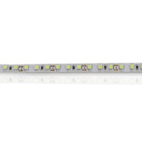 Светодиодная лента Standart PRO class, 3528, 120 led/m, White,12V, IP33