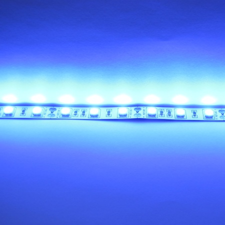 Светодиодная лента Standart class, 5050, 60led/m, Blue, 12V, IP33