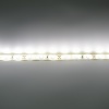 Светодиодная лента Standart PRO class, 3528, 60 led/m, Warm White, 12V, IP65