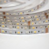 Светодиодная лента Class Premium 3838 72 led/m, RGB+CCT (RGB+white/ warm white), 12V, IP33, А41