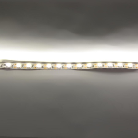 Светодиодная лента  Standart PRO class, 5050, 72led/m, Warm White, 12V, IP33
