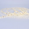 Светодиодная лента LUX class 2835 60led/m, warm white, 12V, IP68, N51