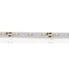 Светодиодная лента Standart class, 3528, 60led/m, White, 12V, IP33