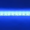 Светодиодная лента Standart class, 5050, 60led/m, Blue, 12V, IP65