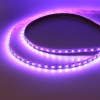 Светодиодная лента LUX class, 5050 (4 chips), 60 led/m, RGBDW, 24V, IP33, P160