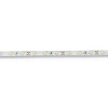 Светодиодная лента Standart PRO class, 3528, 60 led/m, Warm White, 12V, IP65
