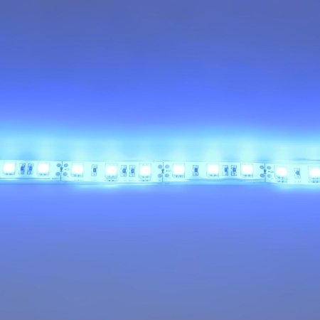 Светодиодная лента Standart PRO class, 5050, 60led/m, Blue, 12V, IP68