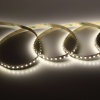 Светодиодная лента Standart PRO class, 3528 120led/m, Day White, 12V, IP33, B180