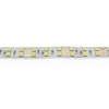 Светодиодная лента Standart PRO class, 5050, 120 led/m, Day White, 24V, IP33