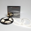 Светодиодная лента Class Premium, 5050, 60 led/m, Day White, 12V, IP65, А19
