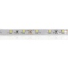 Светодиодная лента Standart PRO class, 3528, 60 led/m, Warm White, 12V, IP33