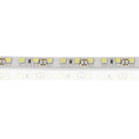 Светодиодная лента Standart PRO class, 3528, 120 led/m, Warm White, 12V, IP33