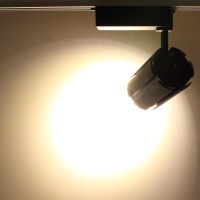 Светодиодный светильник трековый JH-A09-30B 2L PX50 (30W, 220V, day white)