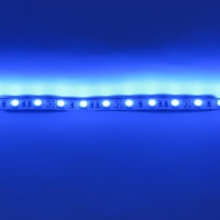 Светодиодная лента  Standart PRO class, 5050, 60led/m, Blue, 12V, IP33