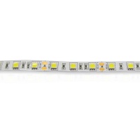 Светодиодная лента  Standart PRO class, 5050, 60led/m, day white, 12V, B150, IP33