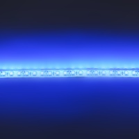 Светодиодная лента Standart class, 3528, 120led/m, Blue, 12V, IP65