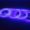Светодиодная лента Standart Pro class, 2835, 120 led/m, 8mm, без скотча, blue, 24V, IP20, SL19