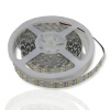 Светодиодная лента Standart PRO class, 5050, 120 led/m, двухрядная, white, 24V, IP33, P133