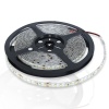 Светодиодная лента Standart PRO class, 3528, 120 led/m, White, 24V, IP65