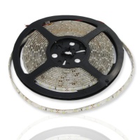 Светодиодная лента Standart PRO class, 3528, 60 led/m, White, 12V, IP65