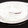 Светодиодная лента Standart PRO class, 5050, 120 led/m, Day White, 24V, IP65