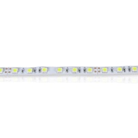 Светодиодная лента  Standart PRO class, 5050, 60led/m, White, 24V, IP33