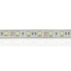 Светодиодная лента Standart PRO class, 5050, 60led/m, White, 12V, IP68