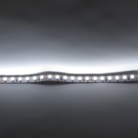 Светодиодная лента Standart PRO class , 3528, 120 led/m, white, 24V, B191, IP33