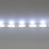 Светодиодная лента Standart PRO class, 5050, 30 led/m, White, 12V, IP65