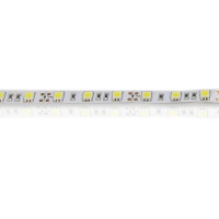 Светодиодная лента  Standart PRO class, 5050, 60led/m, Warm White, 12V, IP33