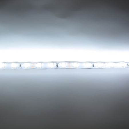 Светодиодная лента Standart PRO class, 5630, 60led/m, white, 20Lm,12V, IP33, P303