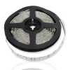 Светодиодная лента Standart PRO class, 5050, 30 led/m, RGB, 12V, IP33