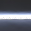Светодиодная лента LUX class, 3528, 120 led/m, White, 12V, IP65