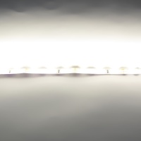 Светодиодная лента LUX class, 2835, 60led/m, Warm White, 12V, N13, IP33