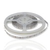 Светодиодная лента Standart PRO class, 3528, 60 led/m, Red, 12V, IP33