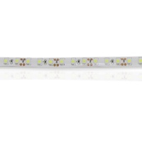 Светодиодная лента Standart class, 3528, 120led/m, White, 12V, IP65