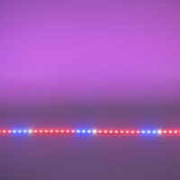 Светодиодная фитолинейка 5630 72 Led ФИТО P311