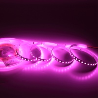 Светодиодная лента Standart Pro class, 2835, 120 led/m, 8mm, без скотча, pink, 24V, IP20, SL23