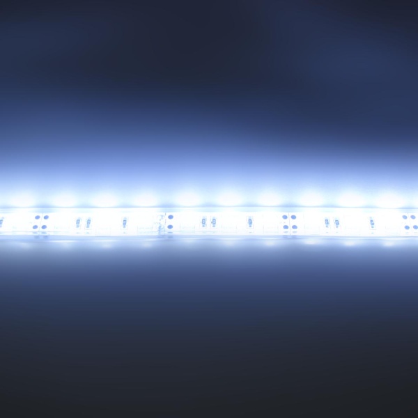 Светодиодная лента LUX class, 5050, 60 led/m, Cool White,24V,P622, IP68