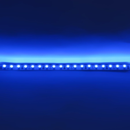 Светодиодная лента Standart PRO class, 3528, 120 led/m, Blue, 12V, IP33