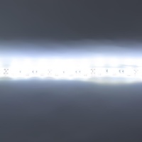 Светодиодная лента Standart PRO class, 5050, 60led/m, White, 12V, IP68