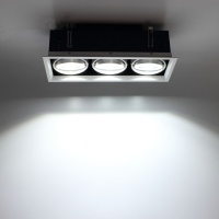 Светодиодный светильник карданный AR90-3 OD3 (220V, 3х20W, white)