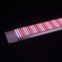 Фитолампа GR14 655mm (220V, 25W, 420led)