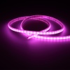 Светодиодная лента Standart Pro class 2835 120led/m, purple, 12V, IP68, N338