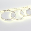 Светодиодная лента Standart class 3528,120led/m, Day White, 12V, IP33, G180