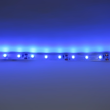 Светодиодная лента Standart class, 3528, 60led/m, Blue, 12V, IP33