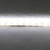 Светодиодная лента Standart PRO class, 5050, 60led/m, Warm White, 12V, IP65