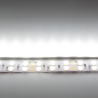 Светодиодная лента Standart PRO class, 5050, 120 led/m, Day White, 24V, IP33