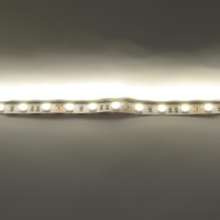 Светодиодная лента  Standart PRO class, 5050, 60led/m, Warm White, 12V, IP33